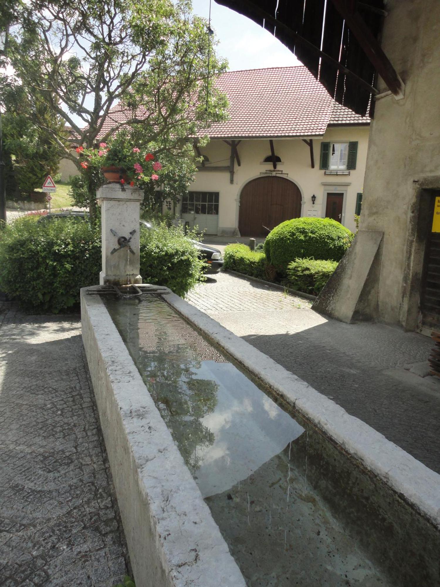 Hotel Gasthaus Hirschen Baden Exteriér fotografie